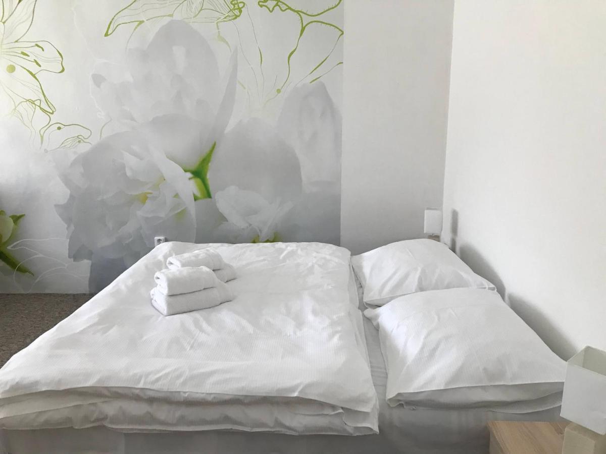 OpočnoApartman Na Namestiアパートメント エクステリア 写真