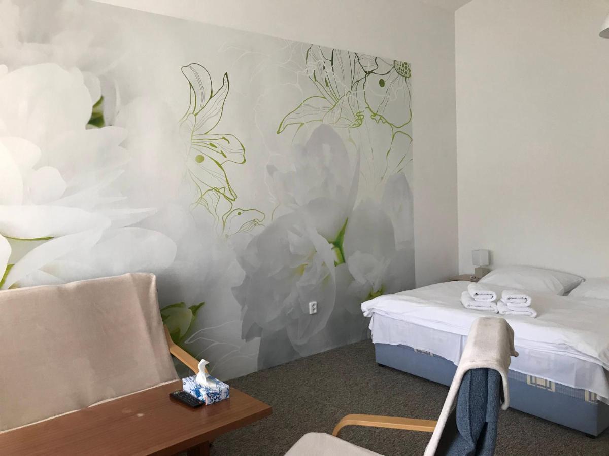 OpočnoApartman Na Namestiアパートメント エクステリア 写真