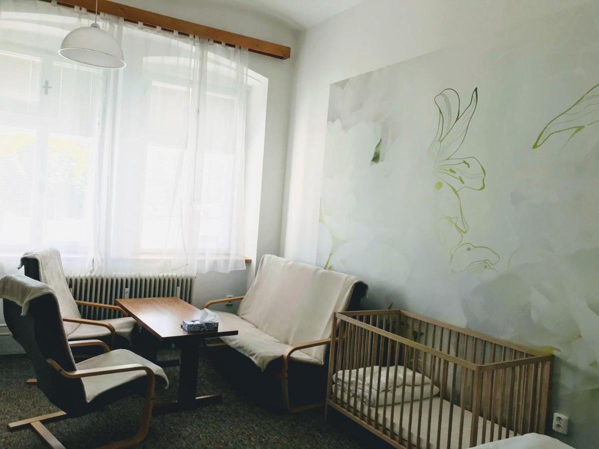 OpočnoApartman Na Namestiアパートメント エクステリア 写真